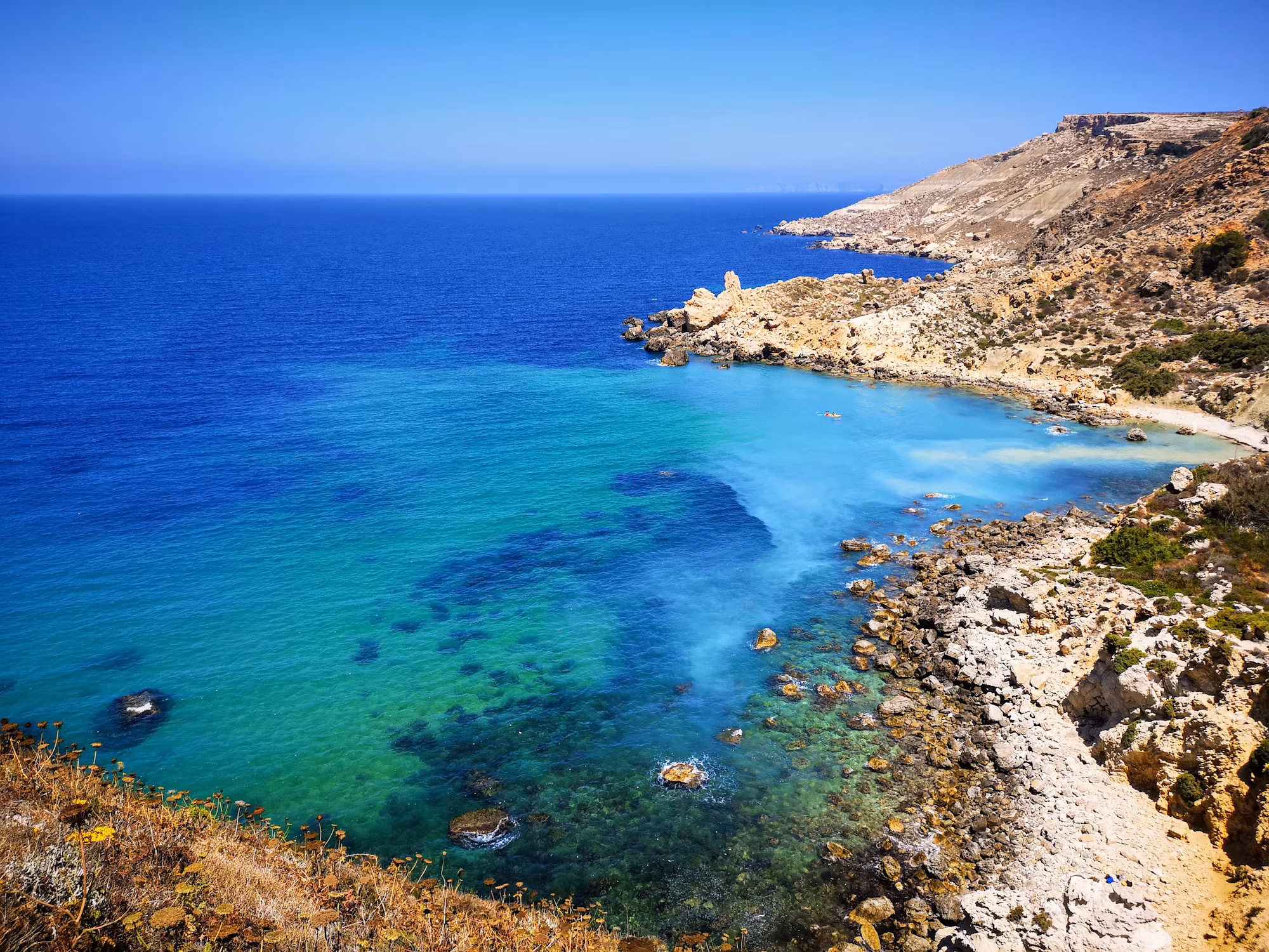 Exploring the Hidden Treasures of the World’s Seas